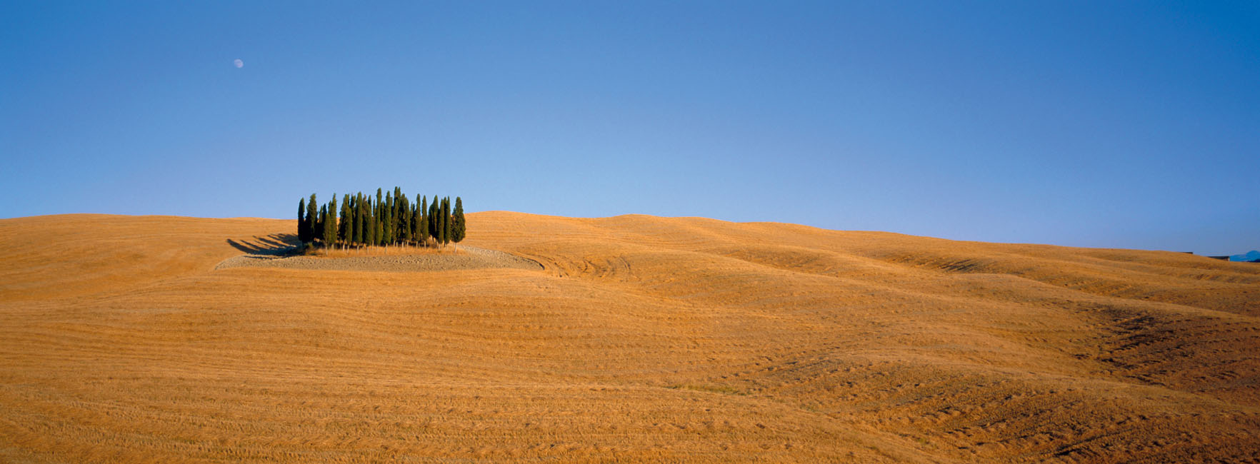 Val dOrcia landscape With its farmhouses abbeys and conical hills this - photo 5