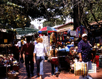 El Pueblo de Los Angeles Huntington Library Art Collections Botanical - photo 14