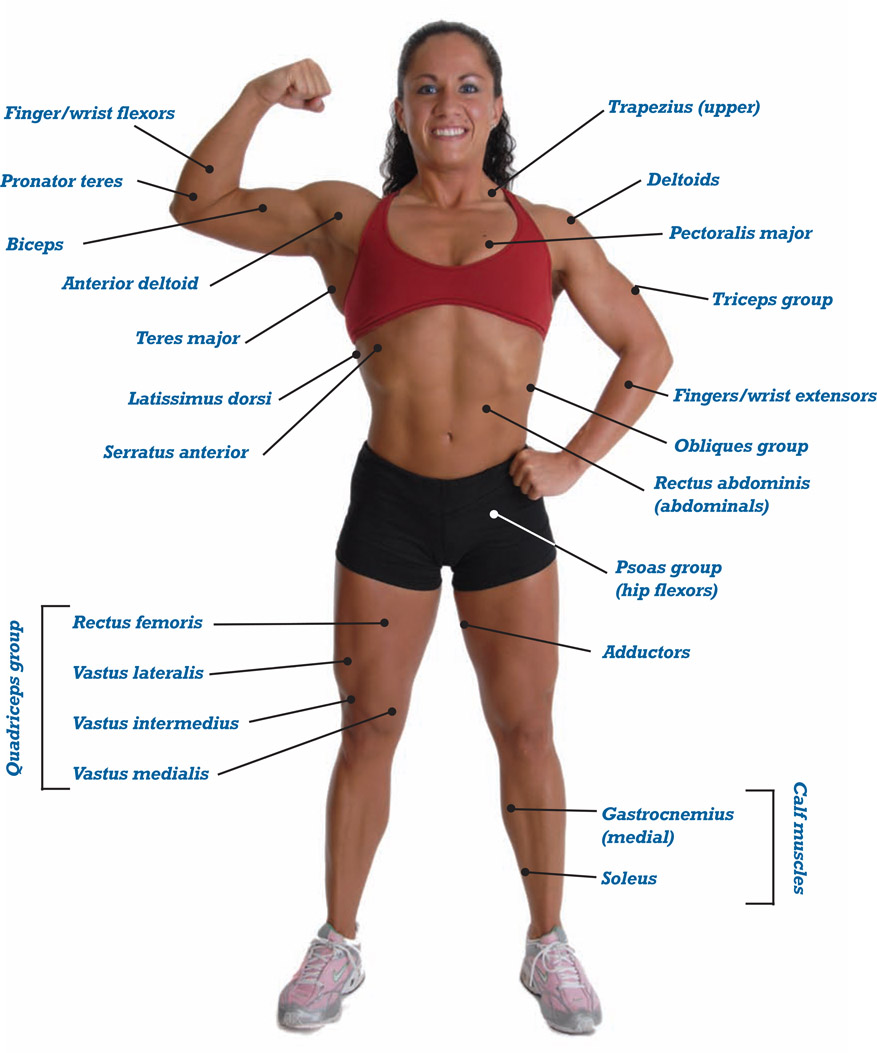 Appendix B Training and Climbing Macrocycle Chart - photo 4