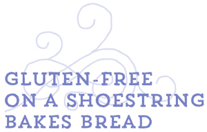 ALSO BY NICOLE HUNN Gluten-Free on a Shoestring Gluten-Free on a - photo 1