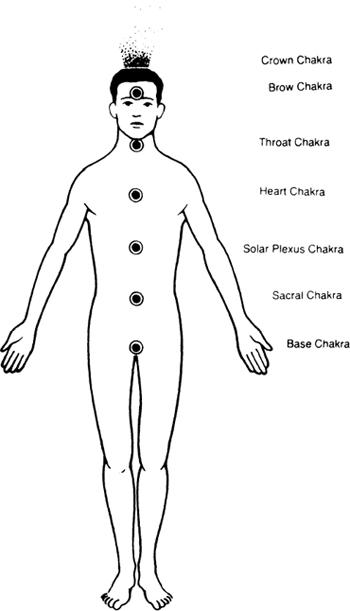 The Seven Chakras The Real Us The physical body is a vehicle for the mind - photo 1