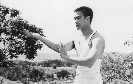 When Bruce Lee returned to the land of his birth America from Hong Kong at - photo 2