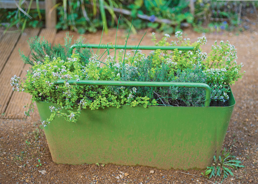 A clever planter that doubles as a bicycle lock Herbs are among the best - photo 5