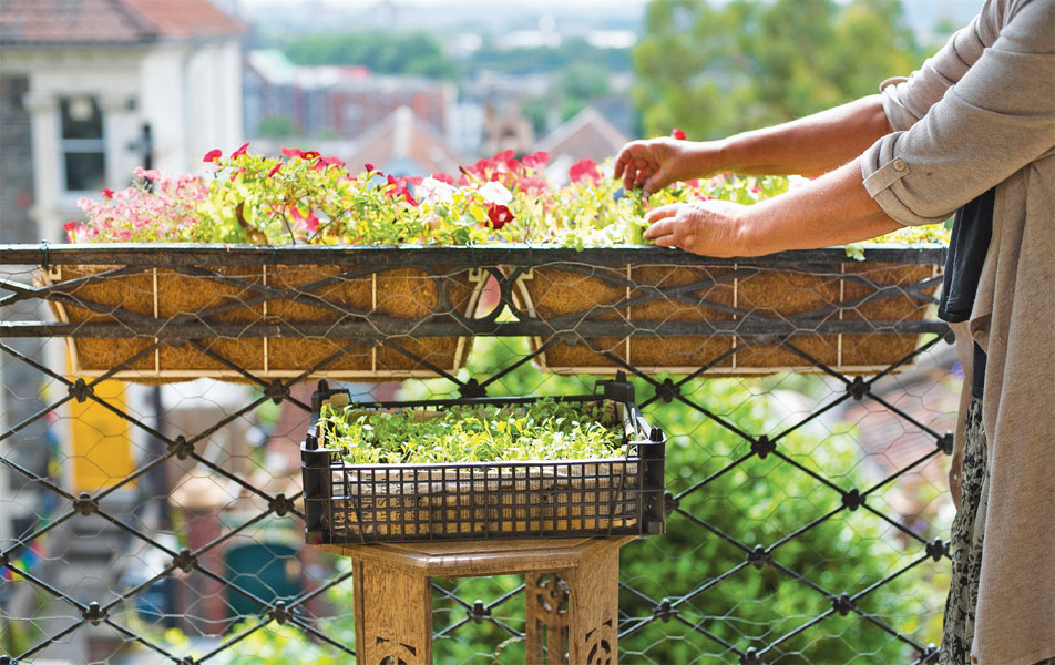 High-rise spots such as rooftops and balconies can make for the most pleasing - photo 8