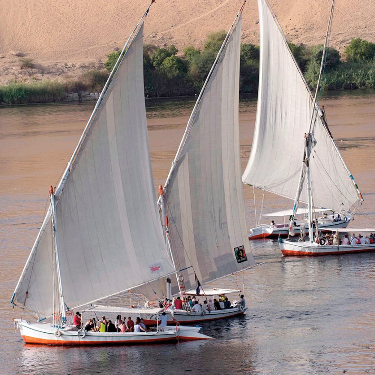 Top Attraction 4 Felucca from Aswan to Edfu Immerse yourself in local - photo 7