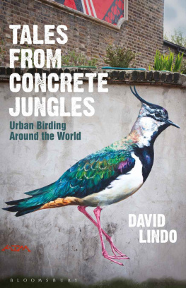 David Lindo Tales from concrete jungles : urban birding around the world