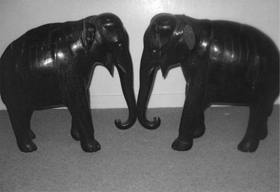 A ll I have from my grandmother are the two elephants They are carved out of - photo 2