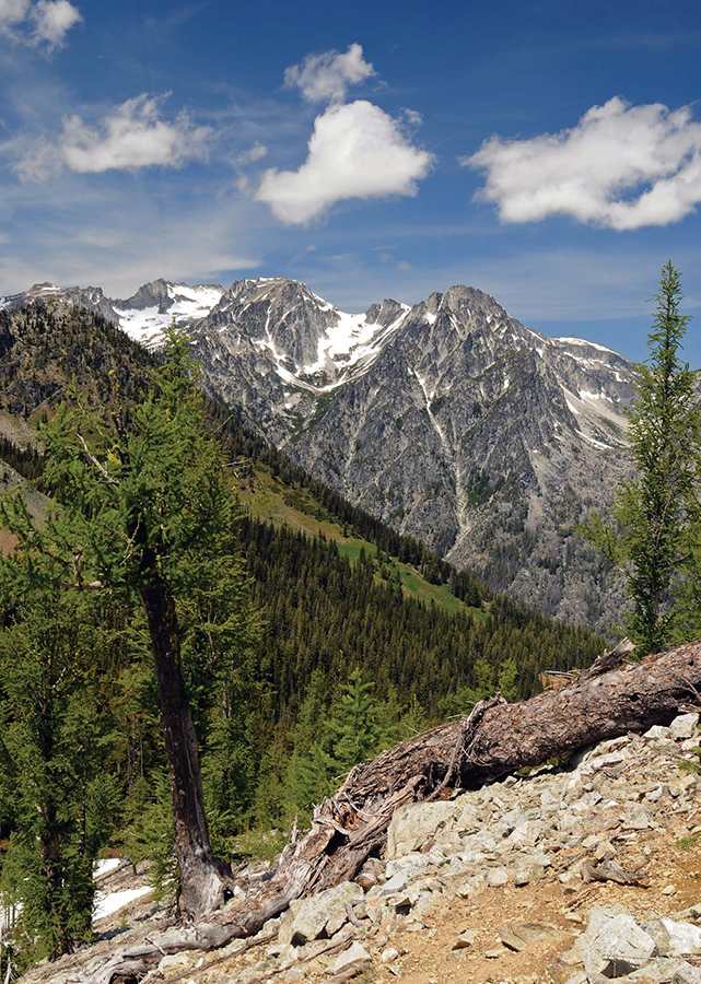 Open views of the Stuart Range looking across the Ingalls Creek valley from - photo 9