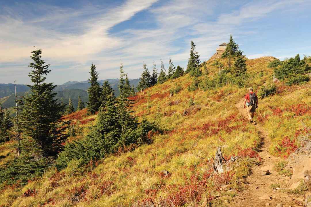 A hiker enjoys the lonely last stretch to the lookout at the summit of Kelly - photo 10