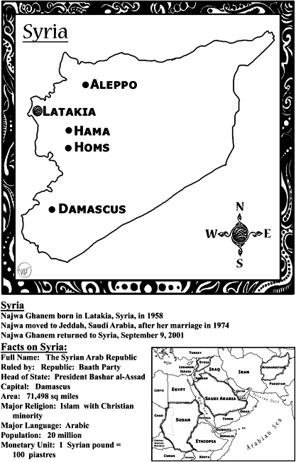 Chapter 1 My Youth NAJWA BIN LADEN I was not always the wife of Osama bin - photo 3