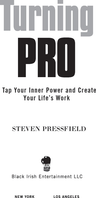 Turning Pro Tap Your Inner Power and Create Your Lifes Work - image 2