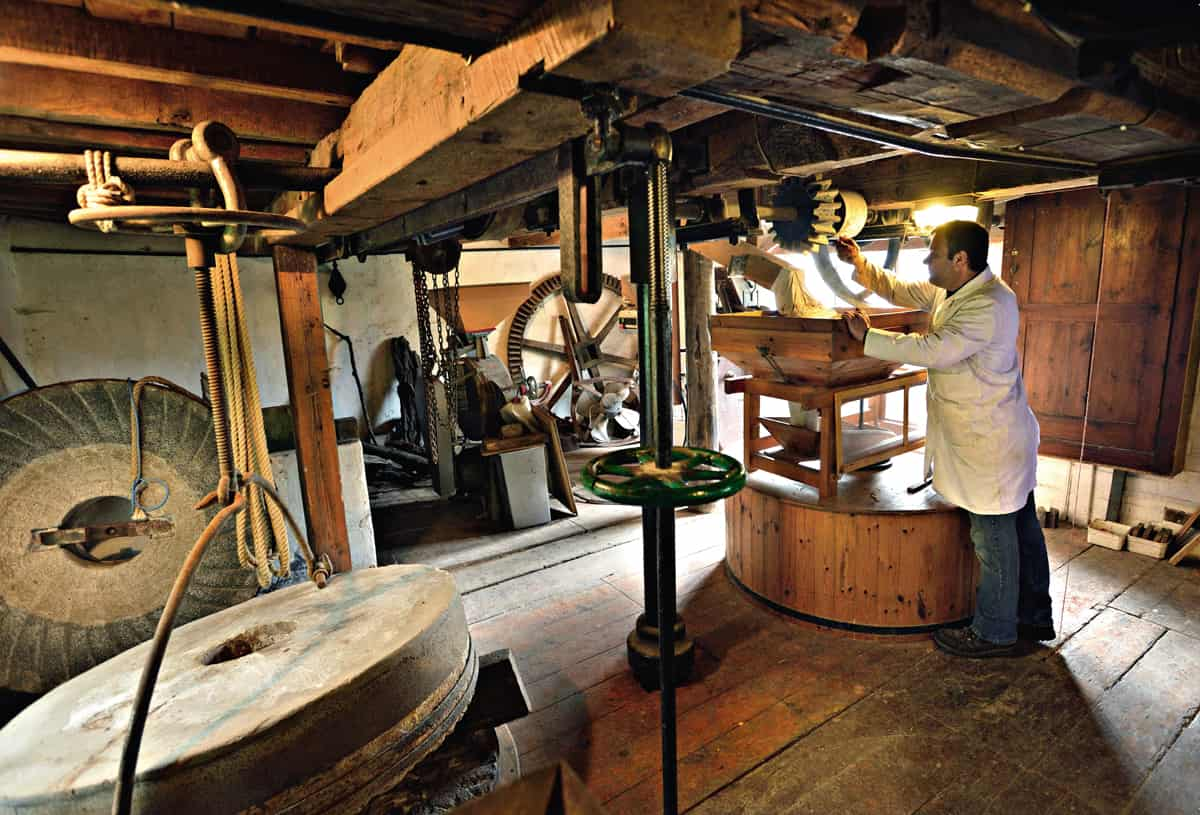 Spencer Craven inspecting the grain as it pours down to the pair of millstones - photo 6