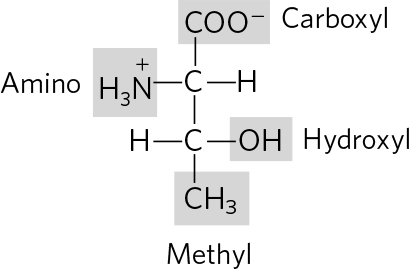 e f The two enantiomers have different inter - photo 4