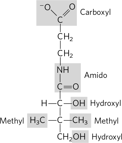 f The two enantiomers have different interactions with a chiral - photo 5