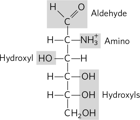 The two enantiomers have different interactions with a chiral biological - photo 6