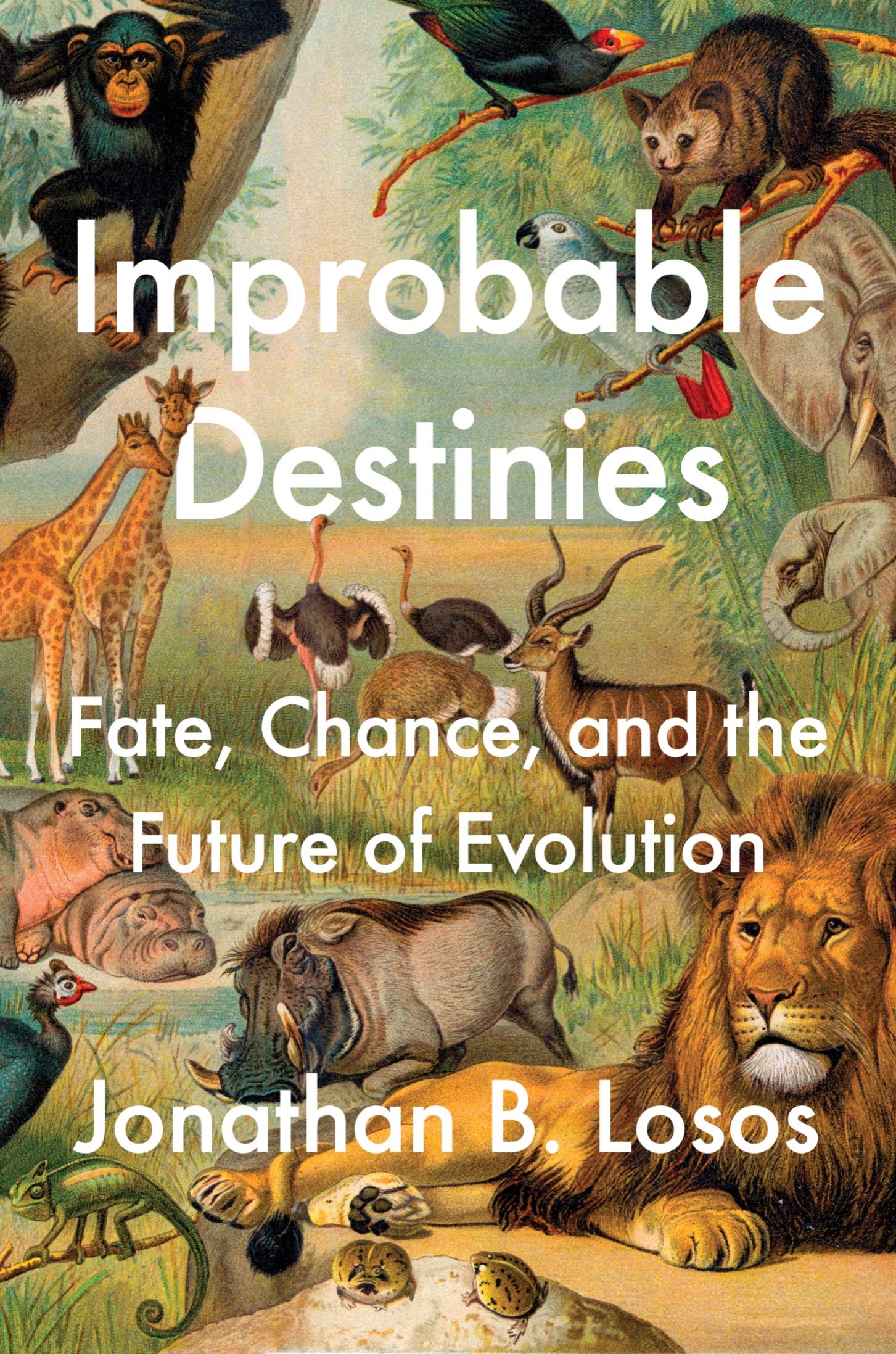 Improbable Destinies Fate Chance and the Future of Evolution - image 1