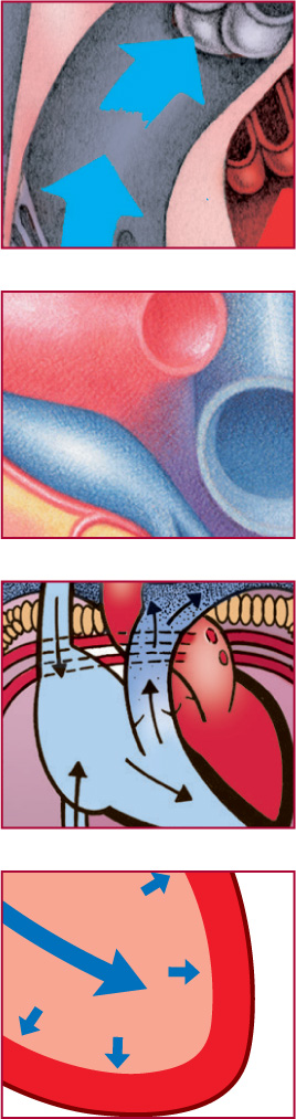 The pulmonary system delivers oxygen to the bloodstream and removes excess - photo 8