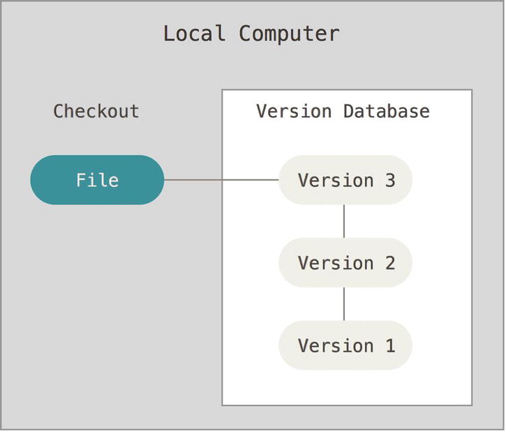 Figure 1-1 Local version control One of the more popular VCS tools was a - photo 1