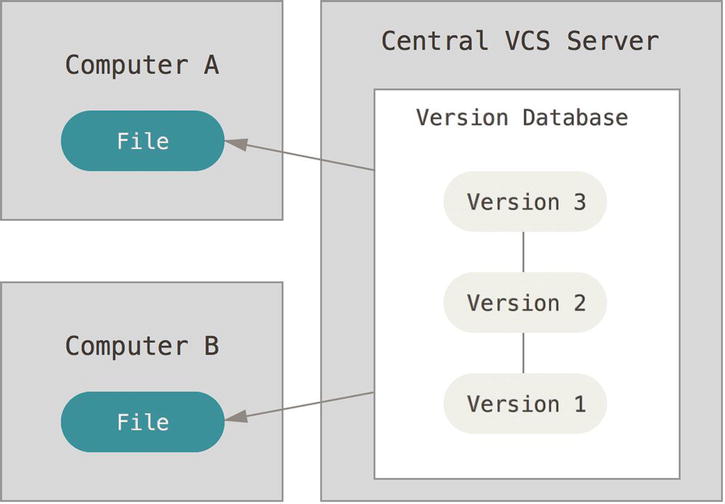 Figure 1-2 Centralized version control This setup offers many advantages - photo 2