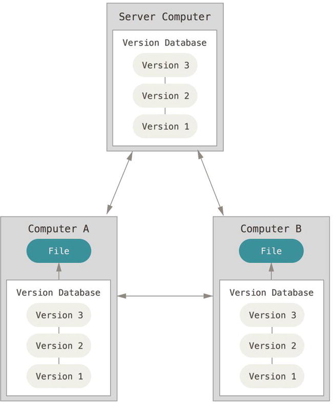 Figure 1-3 Distributed version control Furthermore many of these systems - photo 3