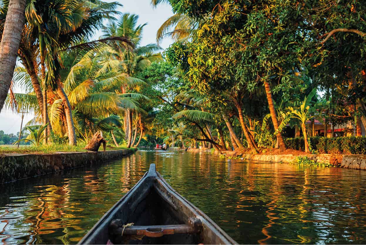 Top Attraction 7 iStock Keralas backwaters The palm-lined backwaters represent - photo 10