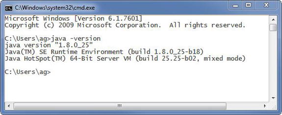 Figure 1-10 Confirm the proper JDK installation Installing the Java - photo 10