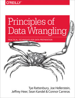 Tye Rattenbury - Principles of Data Wrangling: Practical Techniques for Data Preparation