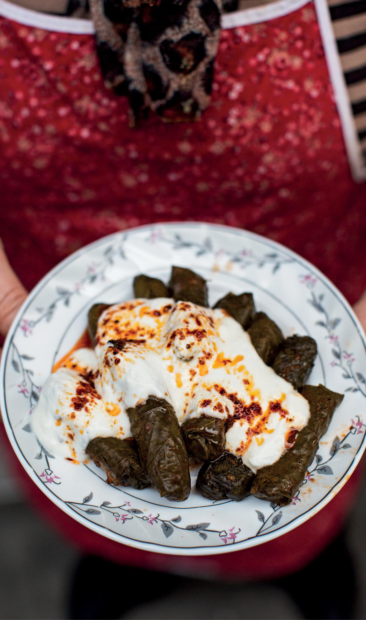 Stuffed grape leaves with yogurt and chile CONTENTS Istanbul The Black Sea The - photo 7
