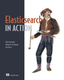 Radu Gheorghe - Elasticsearch in Action