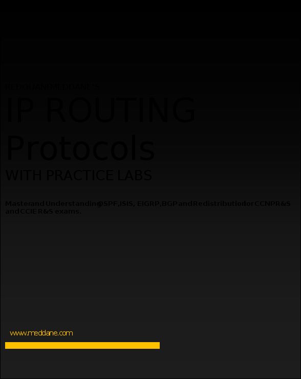 R Redouan e M MEDDANE Contents Chapter 1 OSPF Routing Protocol Part I - photo 1