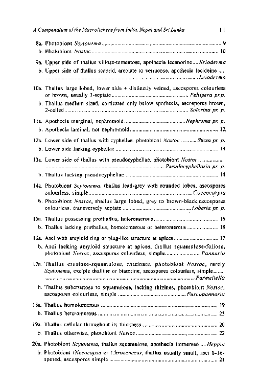 A Compendium of the Macrolichens from India Nepal and Sri Lanka - photo 20