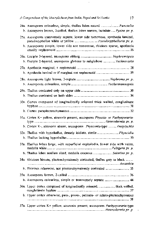 A Compendium of the Macrolichens from India Nepal and Sri Lanka - photo 26