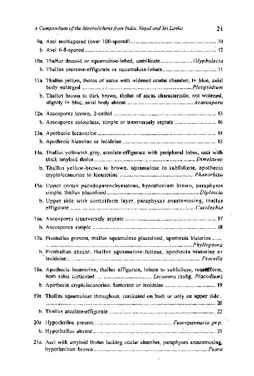 A Compendium of the Macrolichens from India Nepal and Sri Lanka - photo 30