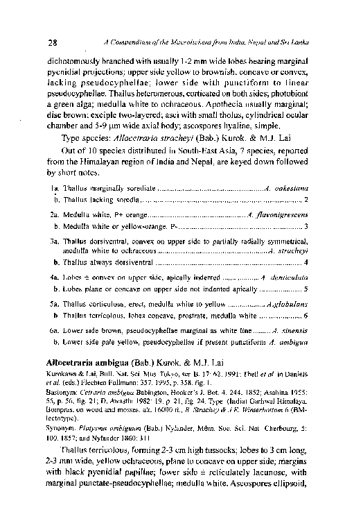 A Compendium of the Macrolichens from India Nepal and Sri Lanka - photo 37