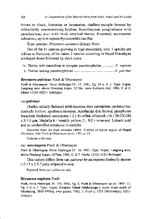A Compendium of the Macrolichens from India Nepal and Sri Lanka - photo 49