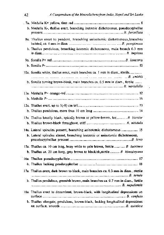 A Compendium of the Macrolichens from India Nepal and Sri Lanka - photo 51