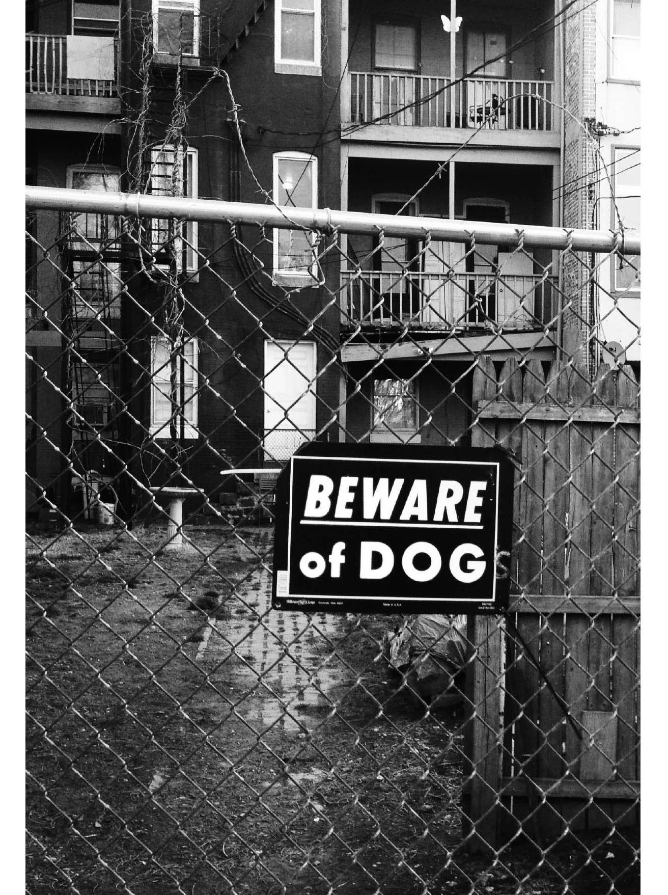 Beware of Dog sign in Futura in Bolton Hill Baltimore 2016 FOREWORD - photo 7