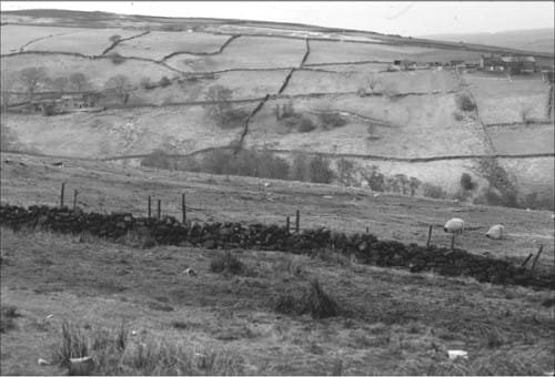 Open rolling hills and blustery skies this is the Yorkshire moorland On - photo 4