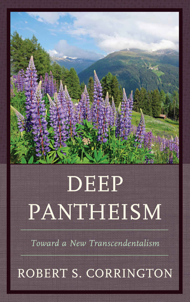 DEEP PANTHEISM DEEP PANTHEISM TOWARD A NEW TRANSCENDENTALISM Robert S - photo 1