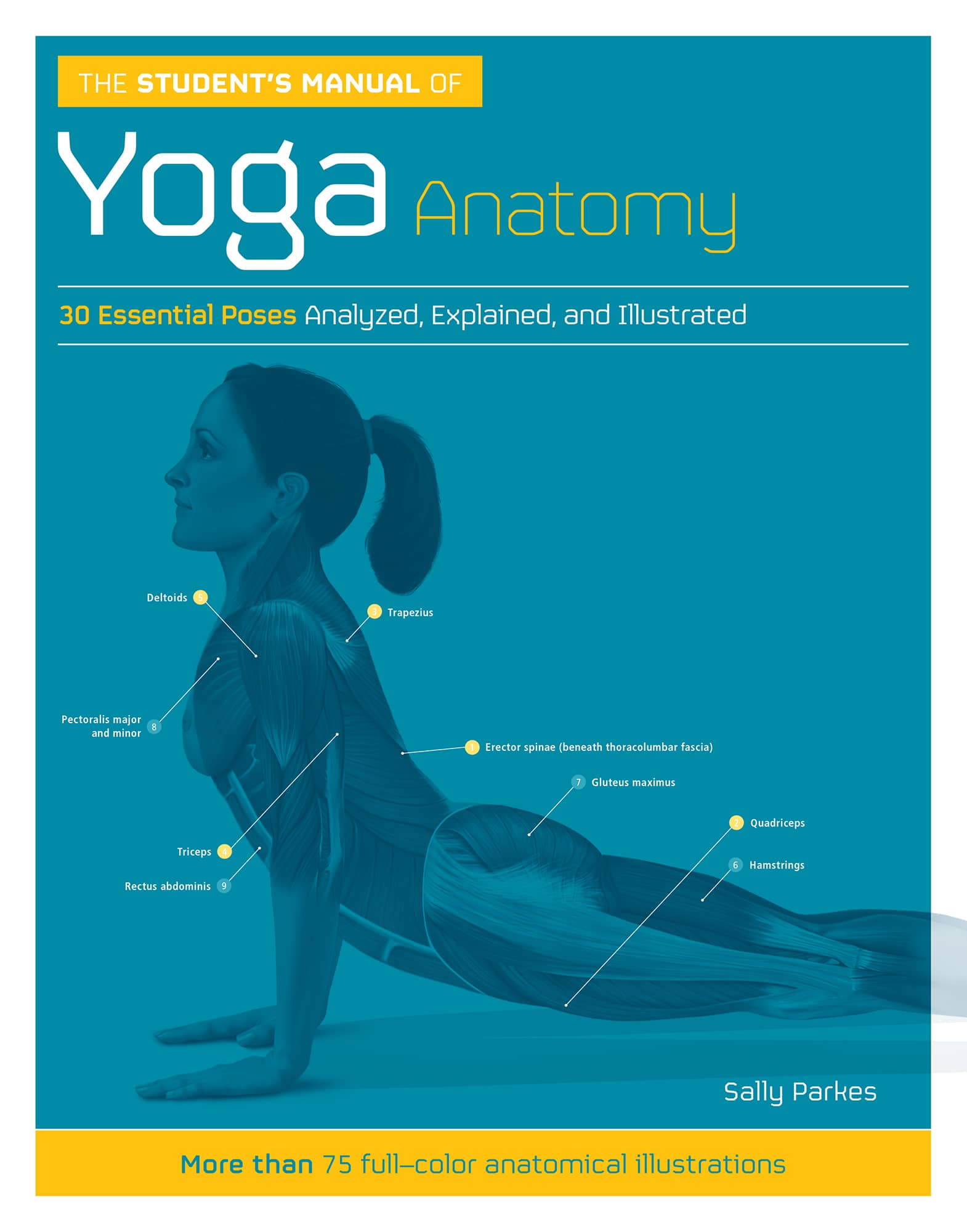 THE STUDENTS MANUAL OF Yoga Anatomy Sally Parkes Bsc - photo 1