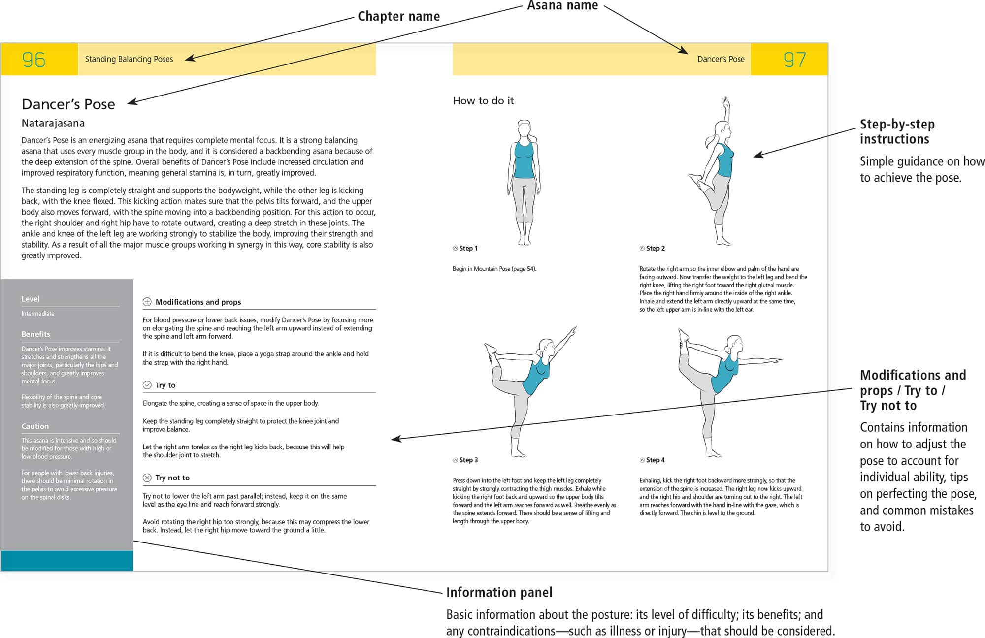 ASANA ANATOMY PAGES - photo 6