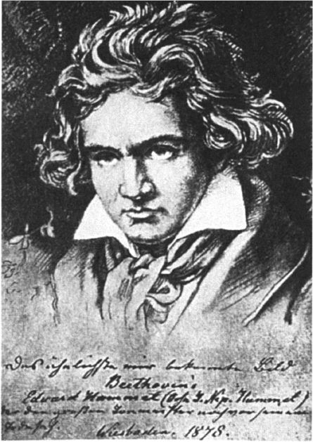 Beethoven at the age of forty-nine 1819 From a portrait by Josef Stieler - photo 1