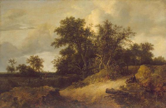 Dune Landscape by Jacob van Ruisdael 1646 Ruisdaels Dutch landscapes would - photo 17