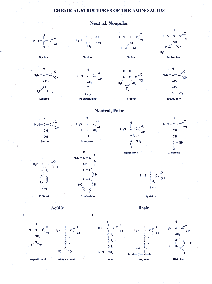 Page i Microbial Genetics Page ii The Jones and Bartlett - photo 3