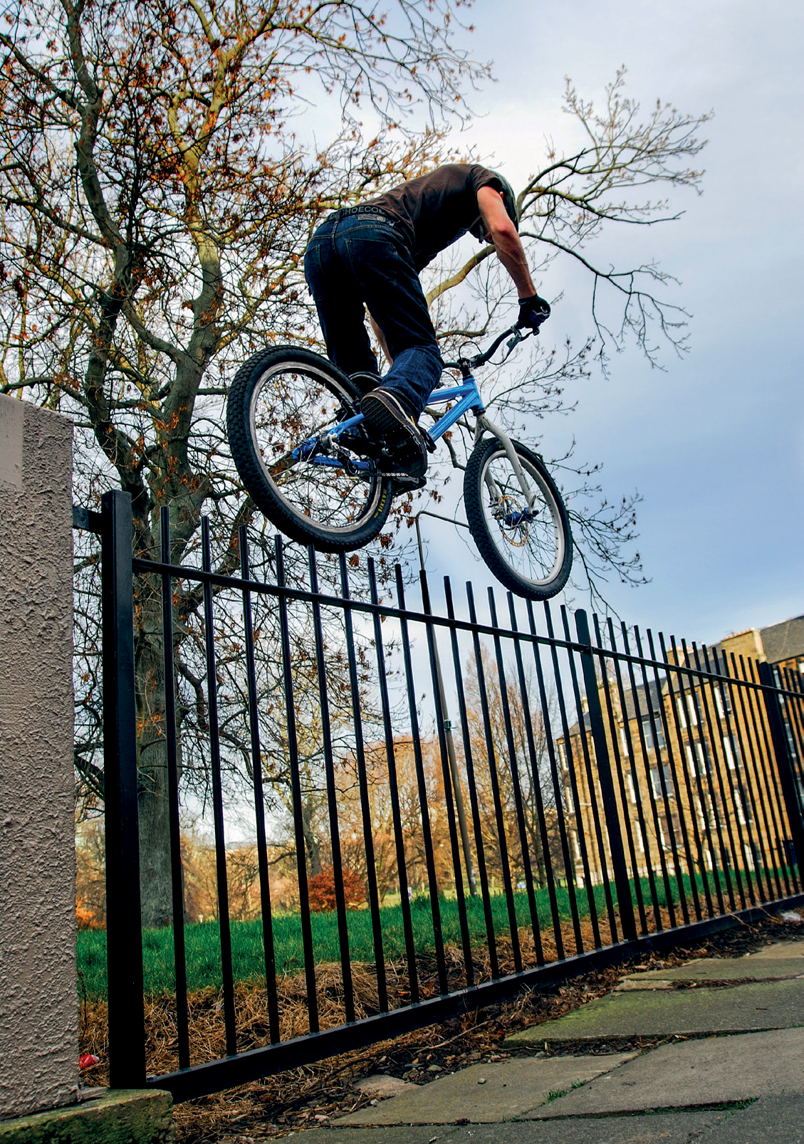 6 Spiky fence-ride in Marchmont Edinburgh April 2009 7 Gap from - photo 8