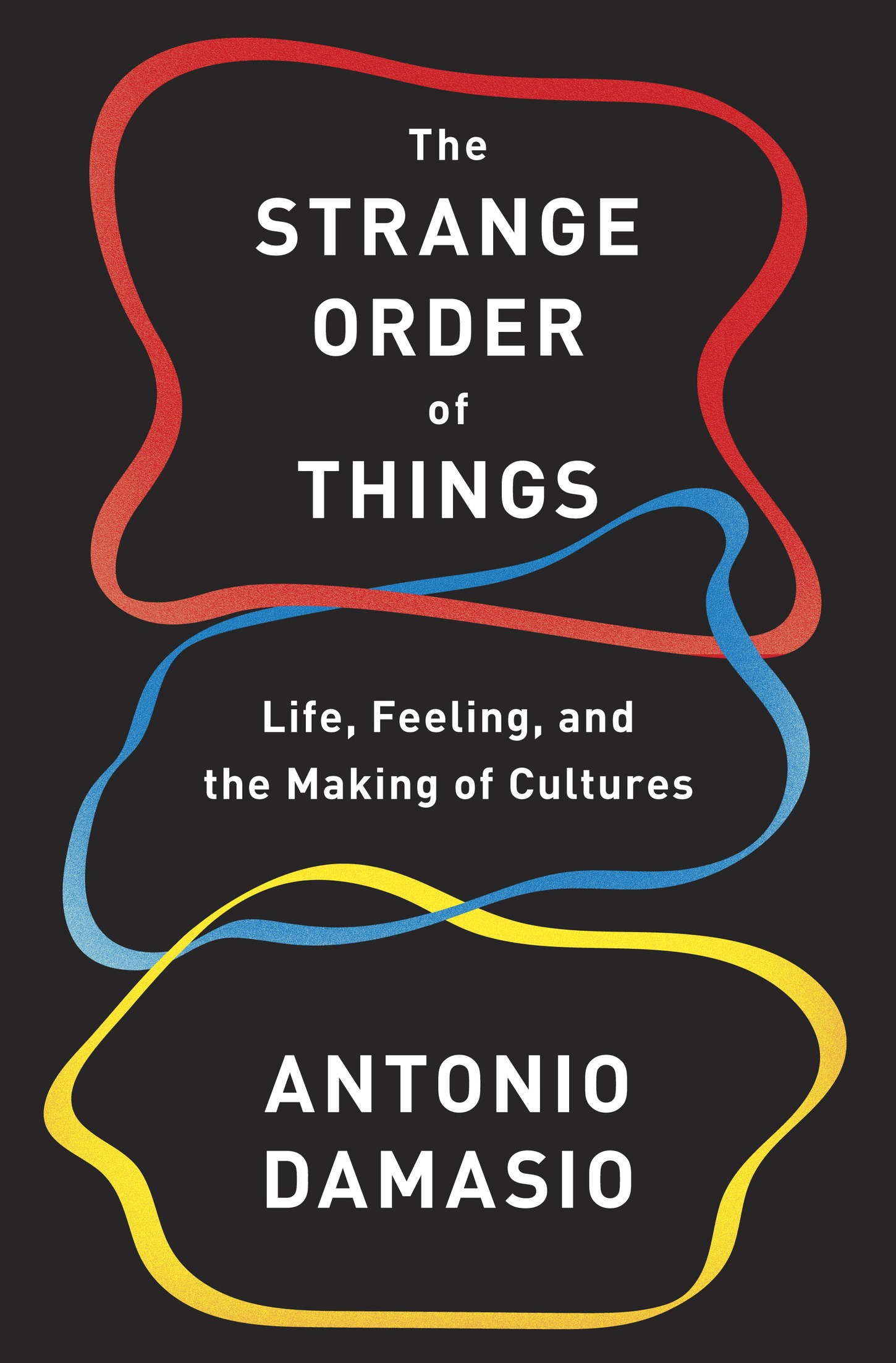 ALSO BY ANTONIO DAMASIO Self Comes to Mind Constructing the Conscious Brain - photo 1