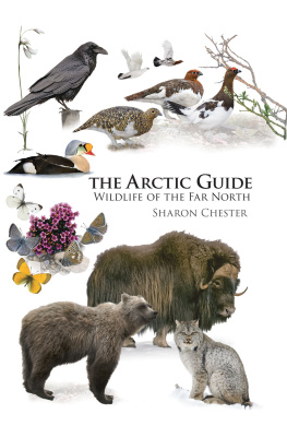 Sharon Chester - The Arctic Guide: Wildlife of the Far North