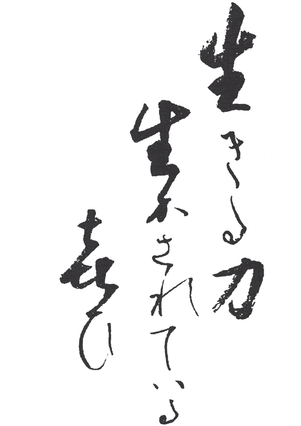 STRENGTH TO LIVE JOY TO BE ALLOWED TO LIVE calligraphy by Dainin Katagiri - photo 2