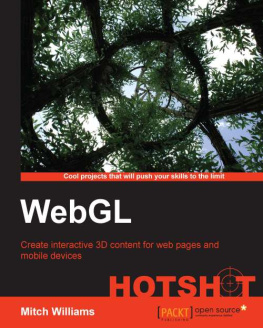 Williams - WebGL Hotshot