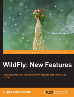 Spolti - WildFly: New Features